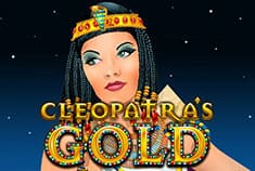 SpinBookie game-thumb